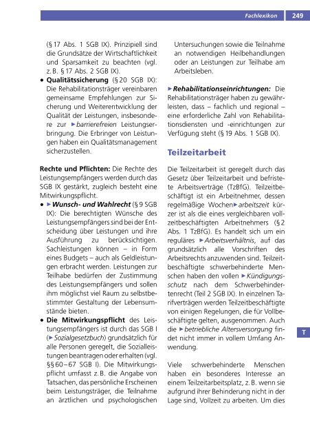 Fachlexikon Behinderung und Beruf 2011, Integrationsamt