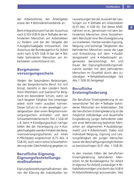 Fachlexikon Behinderung und Beruf 2011, Integrationsamt