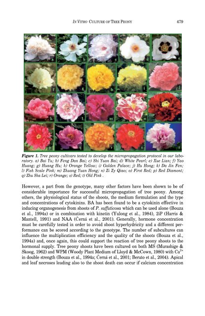 Protocols for Micropropagation of Woody Trees and Fruits