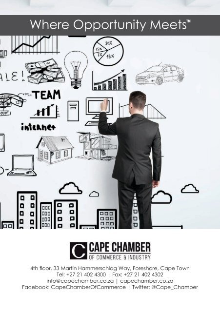 Western Cape Business 2017 edition