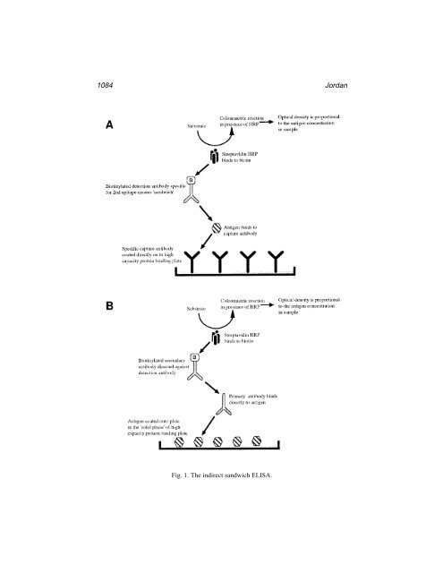 Protein Protocols Protein Protocols