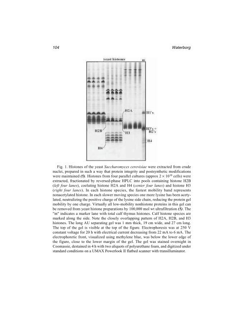 Protein Protocols Protein Protocols