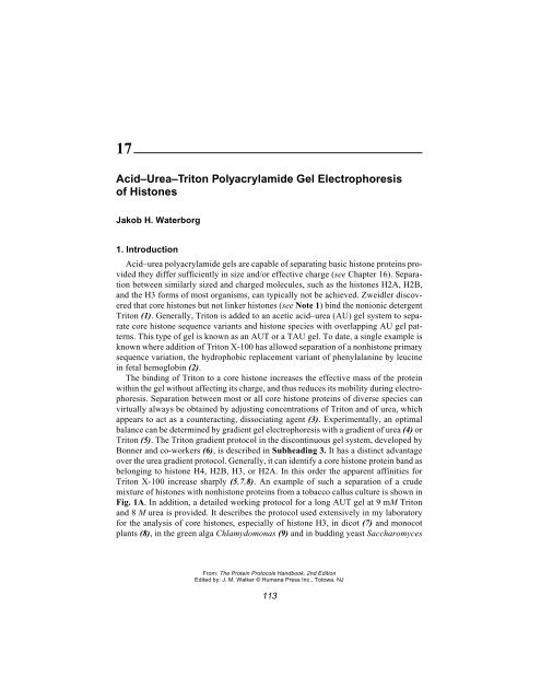 Protein Protocols Protein Protocols