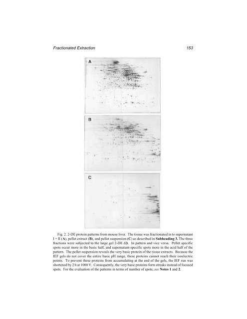 Protein Protocols Protein Protocols