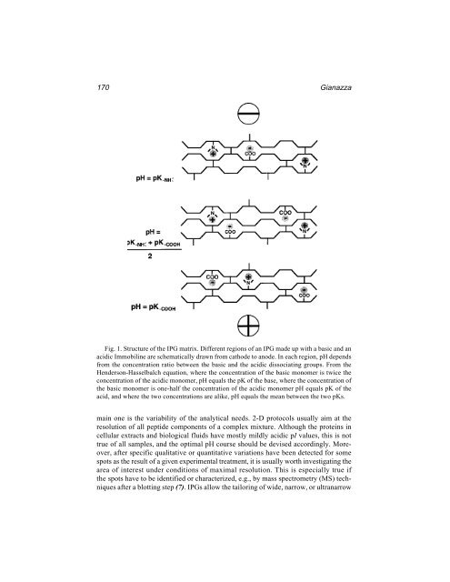 Protein Protocols Protein Protocols