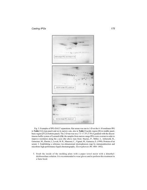 Protein Protocols Protein Protocols