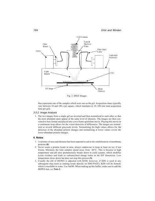 Protein Protocols Protein Protocols