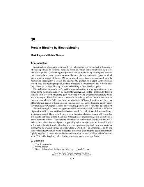 Protein Protocols Protein Protocols