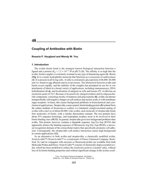 Protein Protocols Protein Protocols