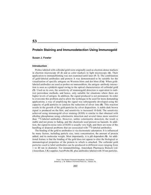 Protein Protocols Protein Protocols