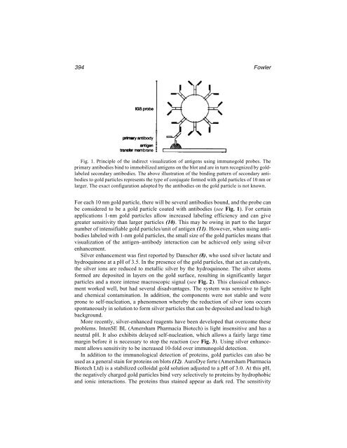 Protein Protocols Protein Protocols