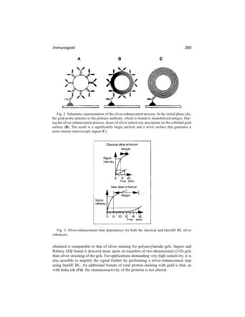 Protein Protocols Protein Protocols