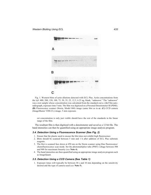 Protein Protocols Protein Protocols