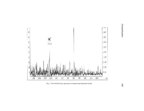 Protein Protocols Protein Protocols