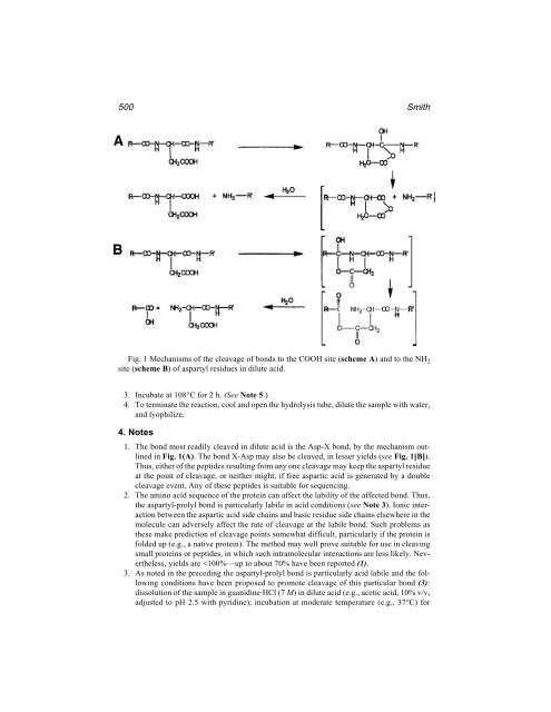 Protein Protocols Protein Protocols