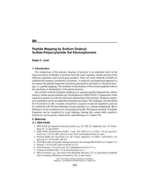 Protein Protocols Protein Protocols