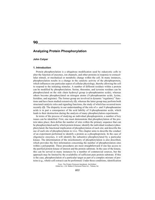 Protein Protocols Protein Protocols