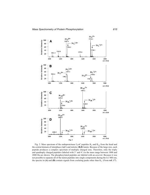 Protein Protocols Protein Protocols