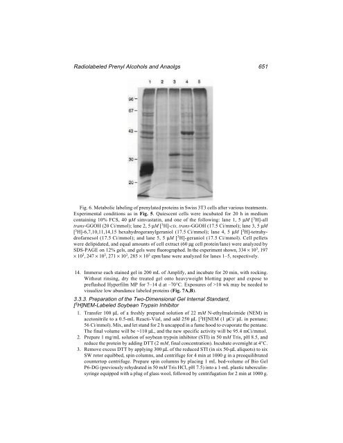 Protein Protocols Protein Protocols