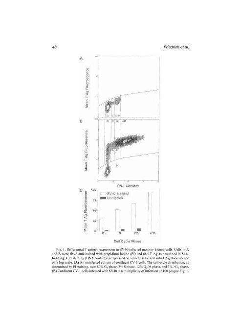 Protein Protocols Protein Protocols