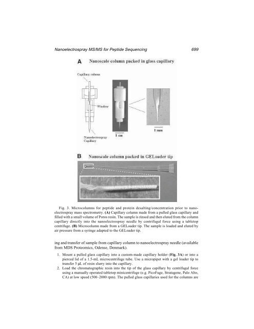 Protein Protocols Protein Protocols