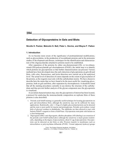 Protein Protocols Protein Protocols