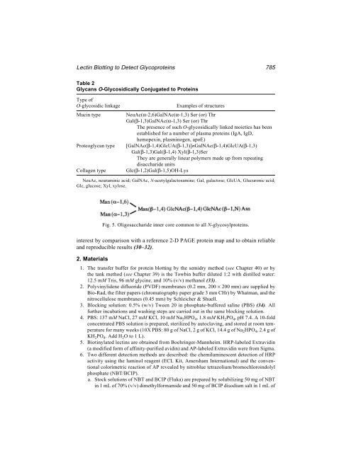 Protein Protocols Protein Protocols