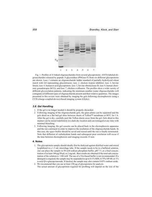 Protein Protocols Protein Protocols