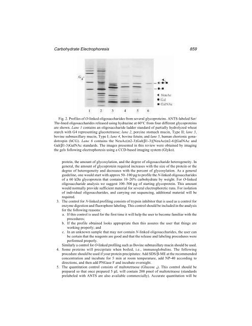 Protein Protocols Protein Protocols