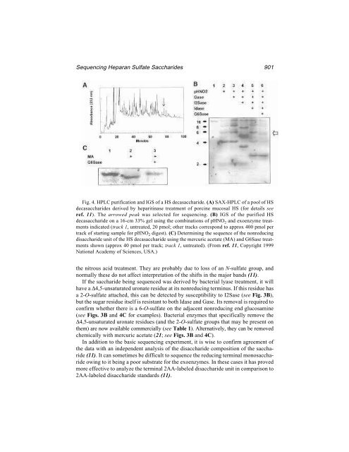 Protein Protocols Protein Protocols