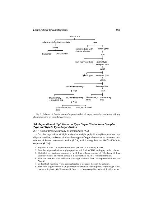 Protein Protocols Protein Protocols