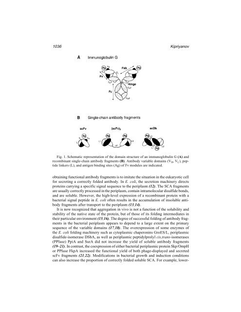 Protein Protocols Protein Protocols