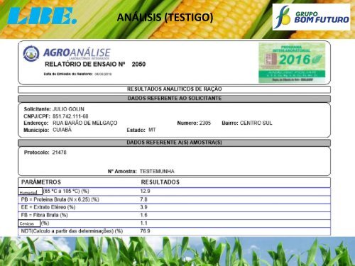 ENSAYO EN CULTIVO DE MAÍZ CON EL PRODUCTO LBE PT 4-O. HACIENDA SANTA LUZIA. MATO GROSSO. BRASIL