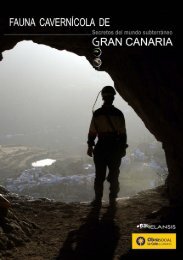 Fauna cavernícola de Gran Canaria. Secretos del mundo subterráneo