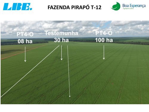 ACOMPANHAMENTO TÉCNICO DO PRODUTO PT 4-O DA LBE NA FAZENDA PIRAPO NA CULTURA DA SOJA. MATO GROSSO