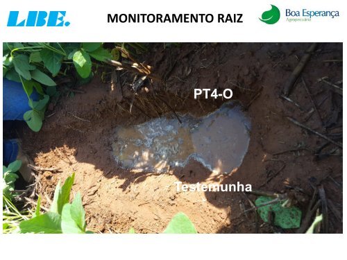 ACOMPANHAMENTO TÉCNICO DO PRODUTO PT 4-O DA LBE NA FAZENDA PIRAPO NA CULTURA DA SOJA. MATO GROSSO