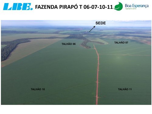 ACOMPANHAMENTO TÉCNICO DO PRODUTO PT 4-O DA LBE NA FAZENDA PIRAPO NA CULTURA DA SOJA. MATO GROSSO