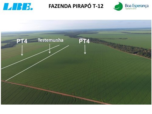 ACOMPANHAMENTO TÉCNICO DO PRODUTO PT 4-O DA LBE NA FAZENDA PIRAPO NA CULTURA DA SOJA. MATO GROSSO