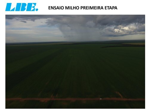 ACOMPANHAMENTO TÉCNICO DO PRODUTO PT 4-O DA LBE NA FAZENDA CEDRO NA CULTURA DO MILHO. MATO GROSSO