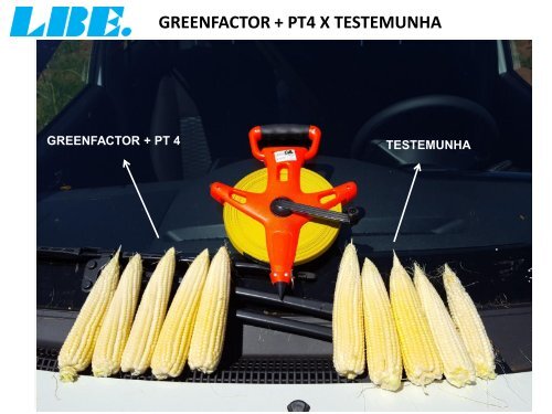 ACOMPANHAMENTO TÉCNICO DO PRODUTO PT 4-O DA LBE NA FAZENDA CEDRO NA CULTURA DO MILHO. MATO GROSSO