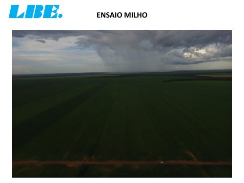 ACOMPANHAMENTO TÉCNICO DO PRODUTO PT 4-O DA LBE NA FAZENDA CEDRO NA CULTURA DO MILHO. MATO GROSSO