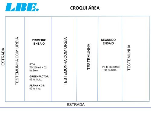 ACOMPANHAMENTO TÉCNICO DO PRODUTO PT 4-O DA LBE NA FAZENDA CEDRO NA CULTURA DO MILHO. MATO GROSSO