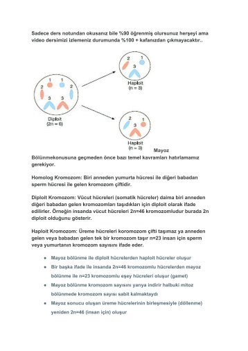 27.Mayoz Bölünme Ders Notu