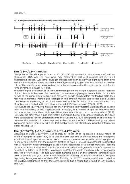 Pompe's disease - RePub - Erasmus Universiteit Rotterdam