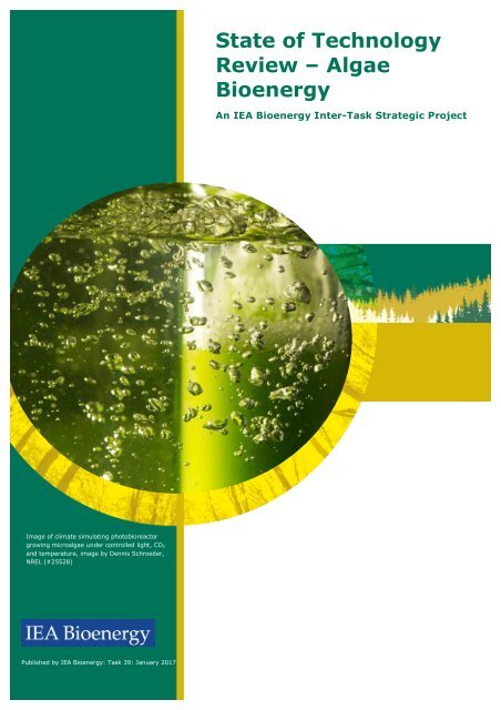 State of Technology Review – Algae Bioenergy