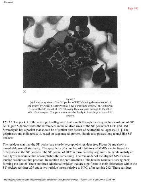 netLibrary - eBook Summary Structure-based Drug Design by ...