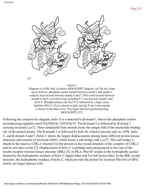 netLibrary - eBook Summary Structure-based Drug Design by ...