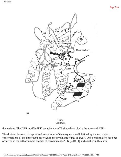 netLibrary - eBook Summary Structure-based Drug Design by ...