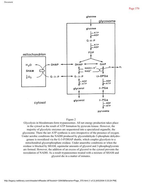 netLibrary - eBook Summary Structure-based Drug Design by ...