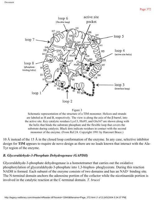 netLibrary - eBook Summary Structure-based Drug Design by ...